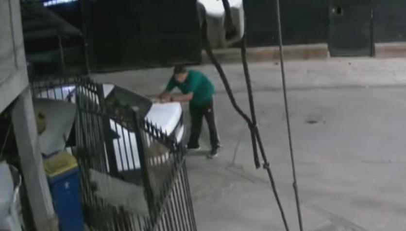 Fue golpeado por más de media hora: Revelan nuevo video de linchamiento a joven en La Florida