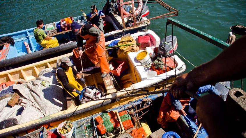 Pescadores de San Antonio denuncia que banda de "piratas" protagoniza robos y asaltos en la bahía