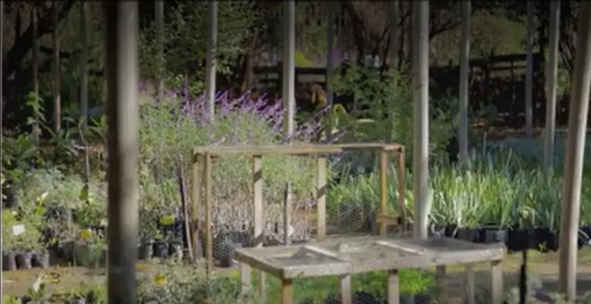 [VIDEO] #HayQueIr: Peñalolén un lugar de arte, relajo y rica comida