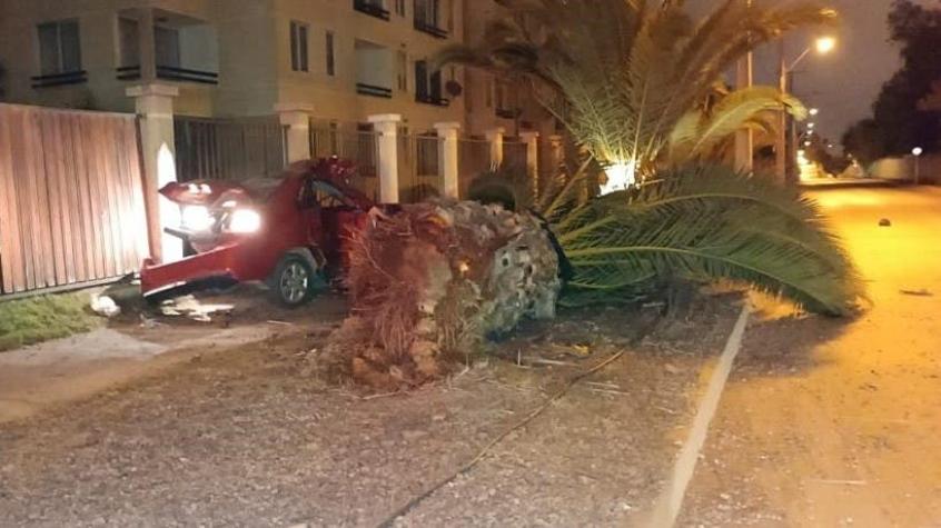 Dos personas mueren tras chocar auto robado contra una palmera en La Serena