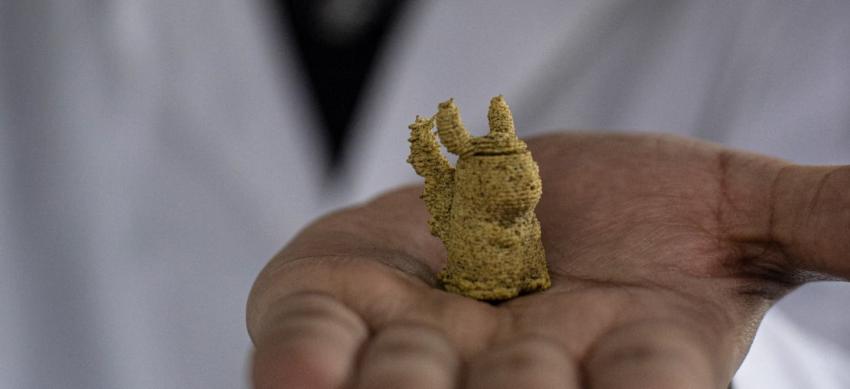 Chilenos crean figuritas de cochayuyo con impresora 3D: "Nutritivo pero también rico"