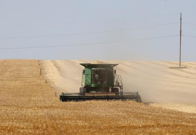 Bloqueo ruso a cereales de Ucrania es un "crimen de guerra"