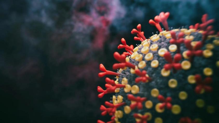 Coronavirus: Estudio apunta que subvariantes de Ómicron estarían evadiendo anticuerpos de vacunas