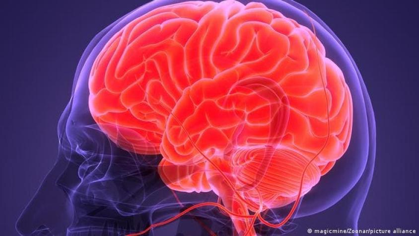 ¿Cómo cambia el cerebro durante el tratamiento de la depresión?