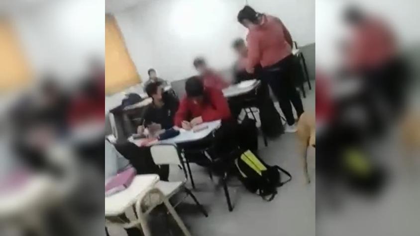 Todo por un sándwich: mujer irrumpe en clases para golpear a alumno que habría amenazado a su hijo