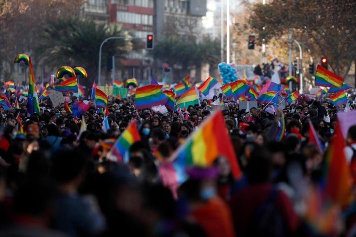 Gobierno presentará querellas en caso de agresiones contra comunidad LGTBIQ+