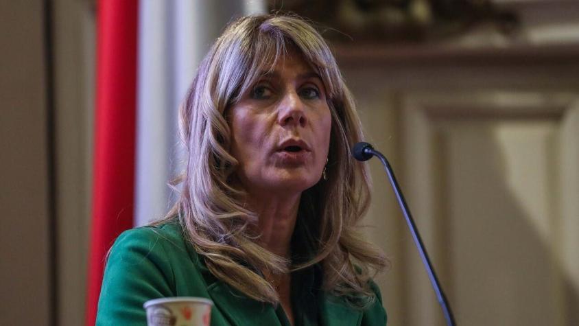 Por la diagramación: Senadora Rincón (DC) acusa que Convención propone un "Chile fragmentado"