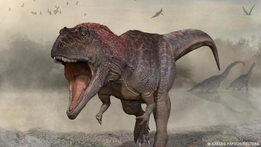 Hallazgo en Argentina: nuevo dinosaurio gigante con brazos diminutos