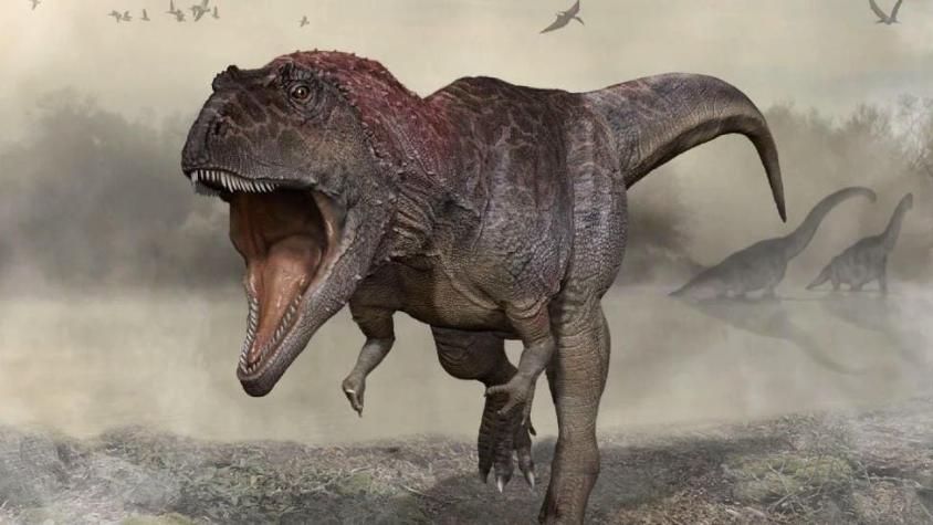 El hallazgo que aporta nuevos detalles sobre por qué los Tyrannosaurus rex tenían los brazos pequeño