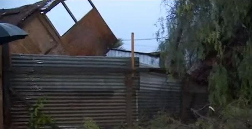 [VIDEO] Graves daños por lluvia y vientos en Lampa: Diez árboles cayeron sobre casas