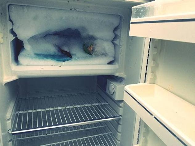 Estados Unidos: Mujer esconde el cadáver de su madre en congelador