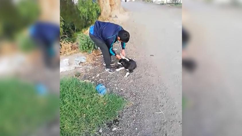 Hombre amarró a un perro y lo lanzó a un río: fue sorprendido por vecino que lo obligó a rescatarlo