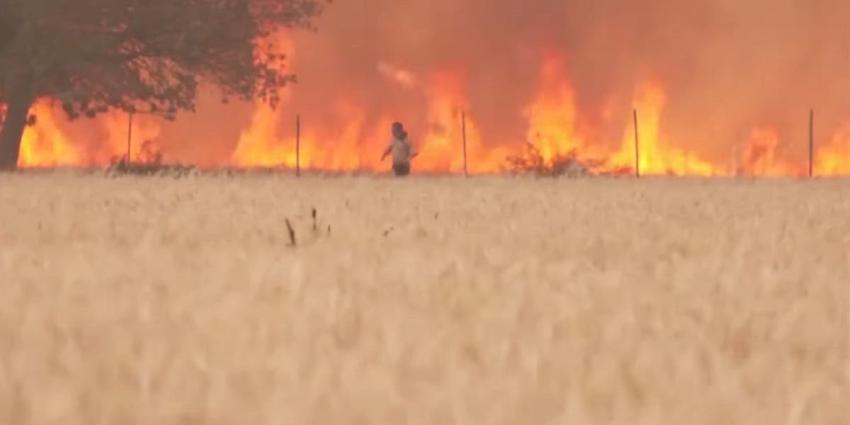 [VIDEO] Milagrosa huida de hombre antes de ser consumido por las llamas en incendio en España