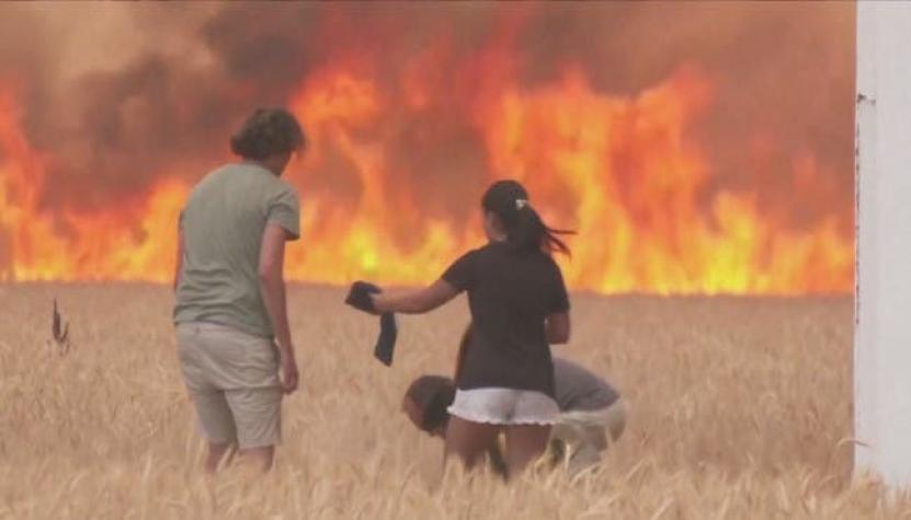 [VIDEO] Incendios: Más de mil muertos por ola de calor en Europa