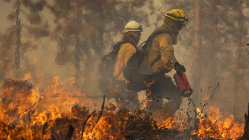 Incendio forestal se extiende en California: ha arrasado más de 6.300 hectáreas en dos días Incendio forestal se extiende en California: ha arrasado más de 6.300 hectáreas en dos días