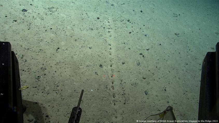 Misteriosa hilera de agujeros en el fondo marino desconcierta a científicos oceánicos