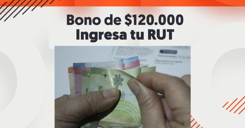 Gobierno habilita sitio web de Bono Invierno: Revisa con tu RUT si recibirás los $120 mil