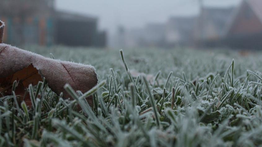 Hasta -3°C: Emiten alerta de bajas temperaturas en la zona centro del país