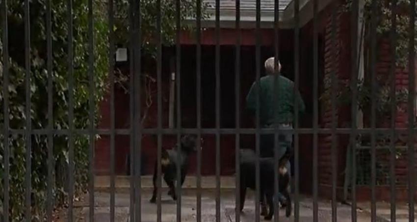 [VIDEO] Llevan a centro de adiestramiento a perros que dejaron gravemente herida a niña de 5 años