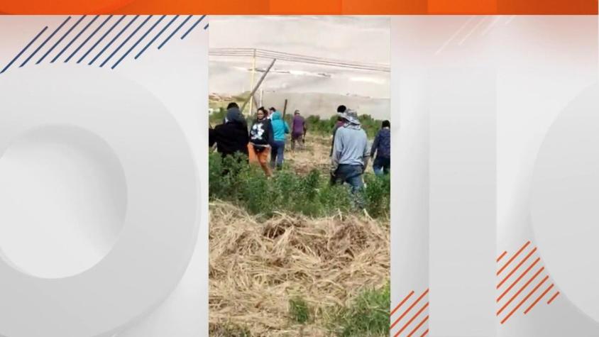[VIDEO] Violento intento de toma de terreno en Arica: Agricultores se enfrentaron a sujetos
