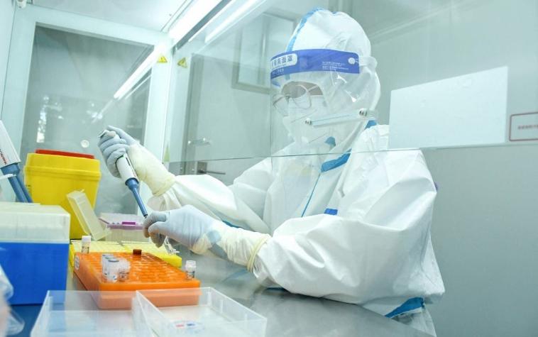 China: Detectan 35 casos en humanos de nuevo virus de origen animal