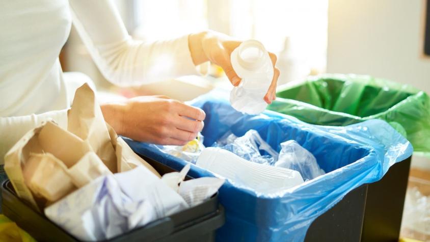 Guía para reciclar: ¿Cómo se clasifican los plásticos y cuáles se pueden aprovechar?