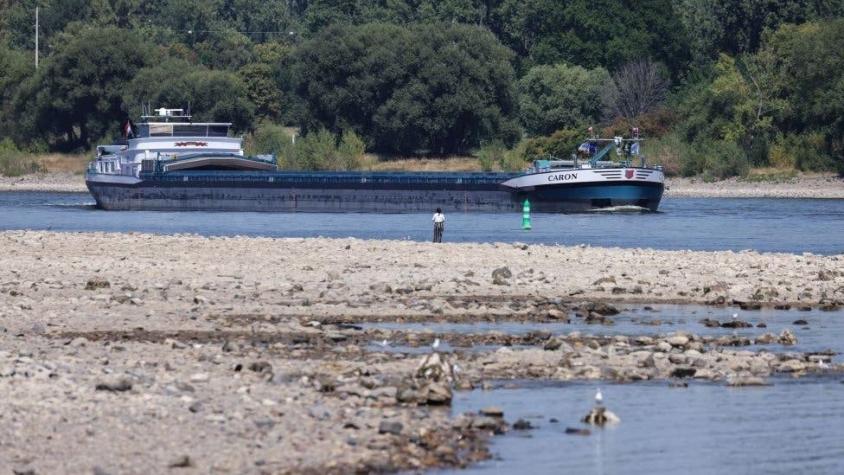 "Nos quedan 30 cm de agua": la grave sequía que golpea al Rin, uno de los mayores ríos de Europa