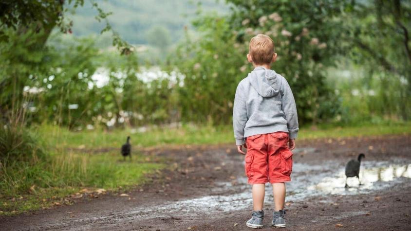 Hallan restos de dos niños en maletas subastadas en Nueva Zelanda