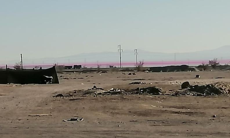 Gobierno pide a Superintendencia de Medioambiente investigar nube violeta en Pozo Almonte