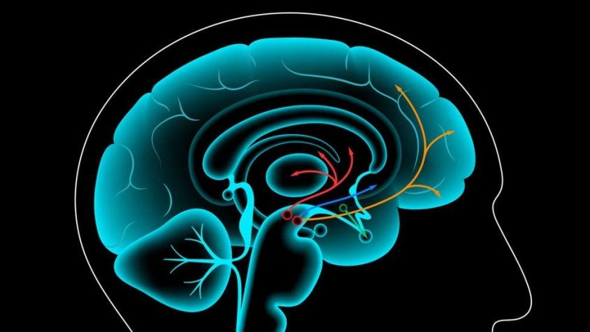 Los beneficios del "ayuno de dopamina" y qué pasa en tu cerebro cuando te abstienes del placer