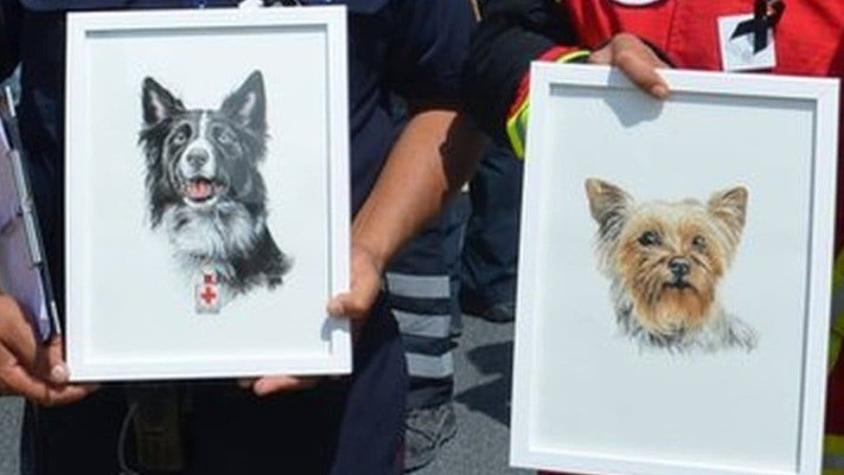 Histórica condena de 10 años de prisión para un hombre que mató a dos perros rescatistas en México