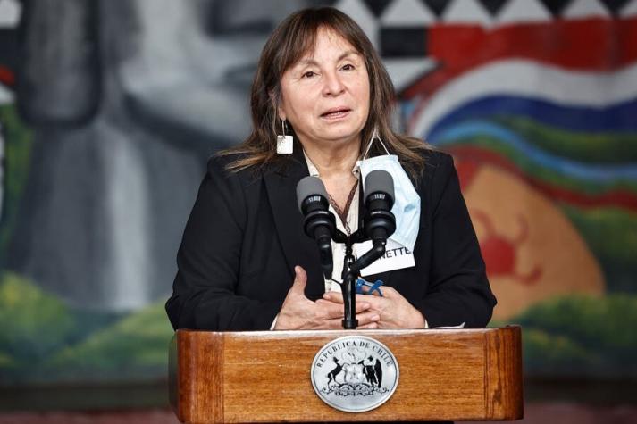 La llamada telefónica a Llaitul que hizo caer a la ministra de Desarrollo Social, Jeannette Vega