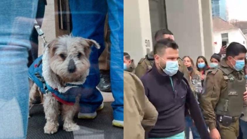 Hombre fue detenido en Providencia por golpear a un perro