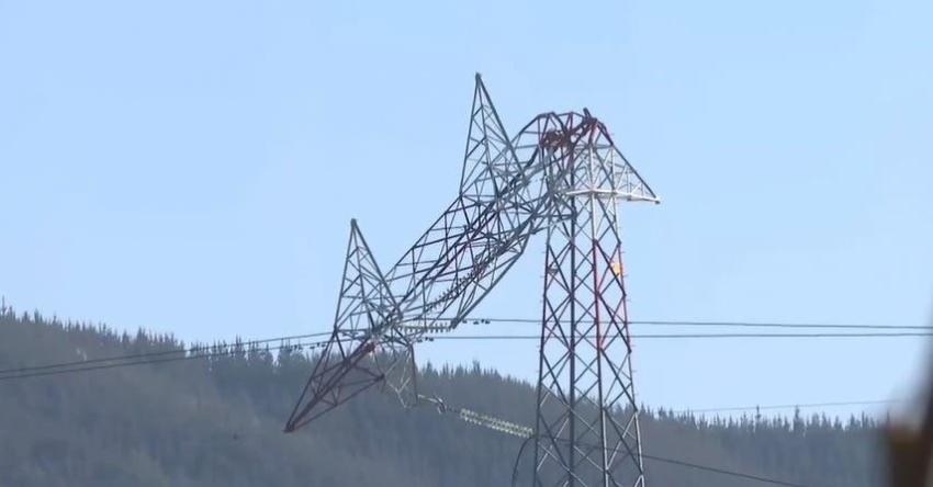 Confirman uso de dinamita en ataque a torre de alta tensión en Hualqui: gobierno se querellará