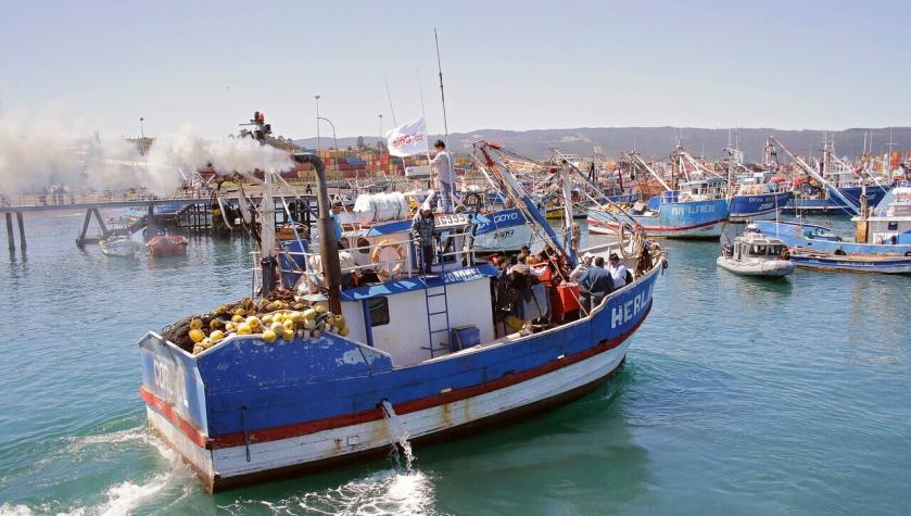 Comisión de Pesca del Senado aprueba en general proyecto que declara la nulidad de la Ley de Pesca