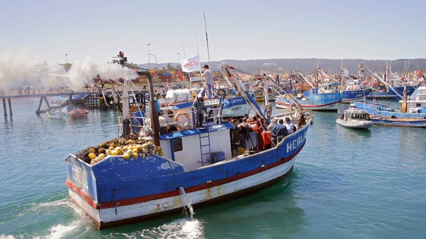 Comisión de Pesca del Senado aprueba en general proyecto que declara la nulidad de la Ley de Pesca