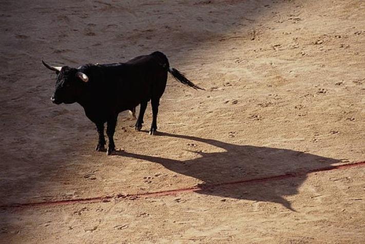 Toro mató a cornadas a carnicero que lo iba a faenar: Animal había sido herido en corrida