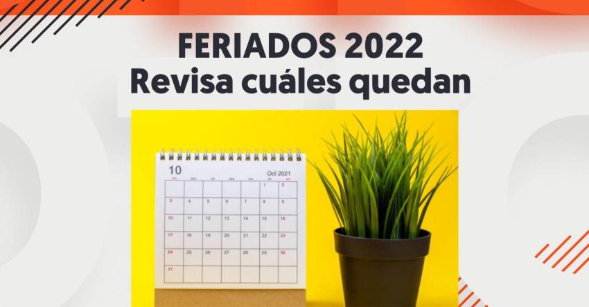 ¿Y después del 18 qué? Los feriados que le quedan al 2022