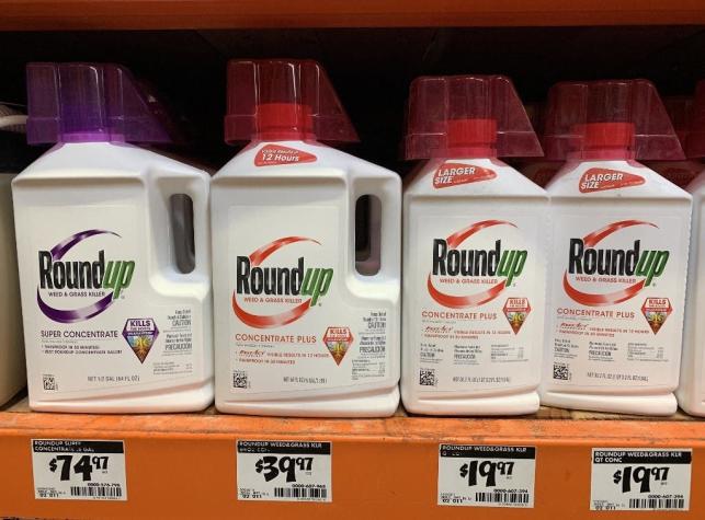 Roundup: El polémico herbicida de Monsanto que enfrenta a la justicia chilena