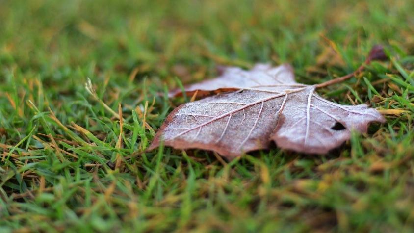 Se esperan hasta -2°C: Pronostican heladas para cuatro regiones del país durante este jueves