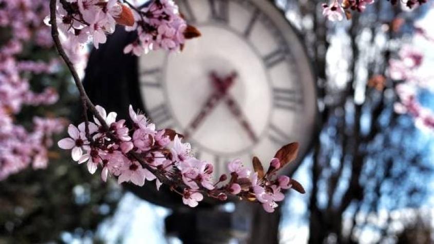 Inicio oficial de la Primavera: ¿A qué hora es el Equinoccio?