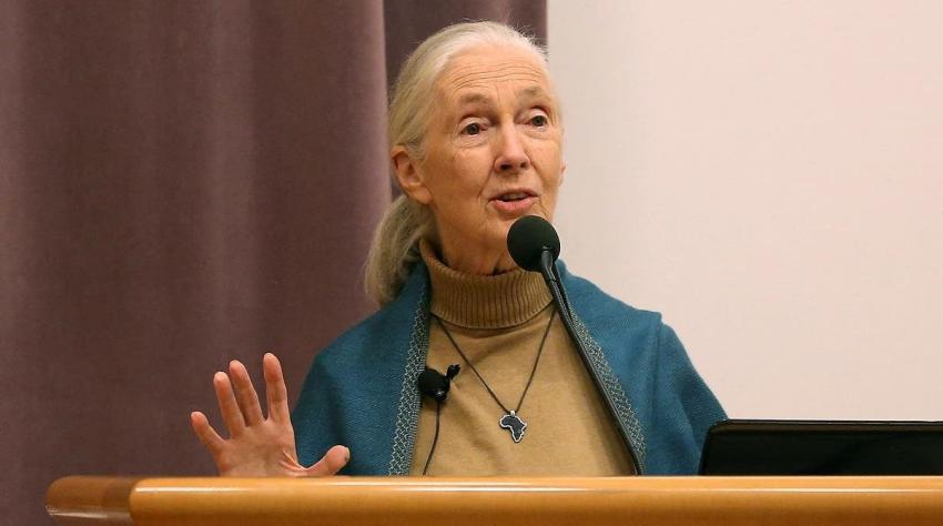 Cambio climático se acerca al "punto de no retorno", dijo la científica Jane Goodall