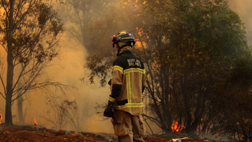Declaran alerta roja en Isla de Pascua por incendio forestal