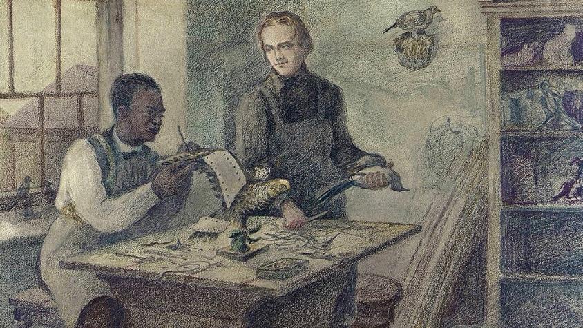 John Edmonstone, el esclavo liberado que le enseñó taxidermia a Darwin
