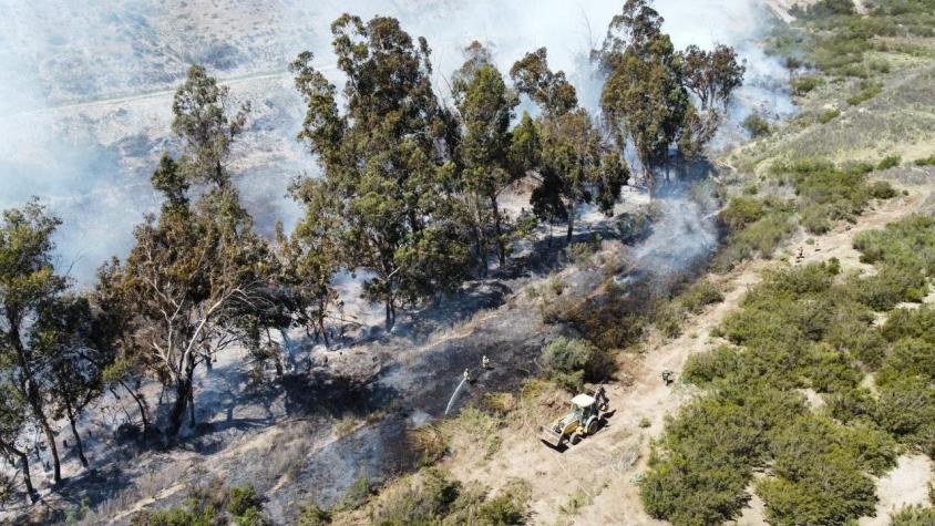 Onemi declara Alerta Roja en Vallenar por incendio forestal cercano a sectores habitados