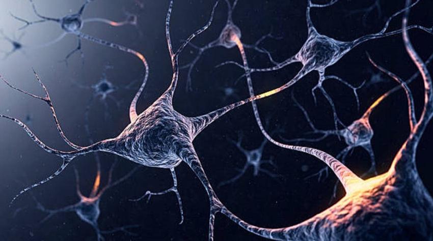 Estudio revela que neuronas de laboratorio aprendieron a jugar un videojuego