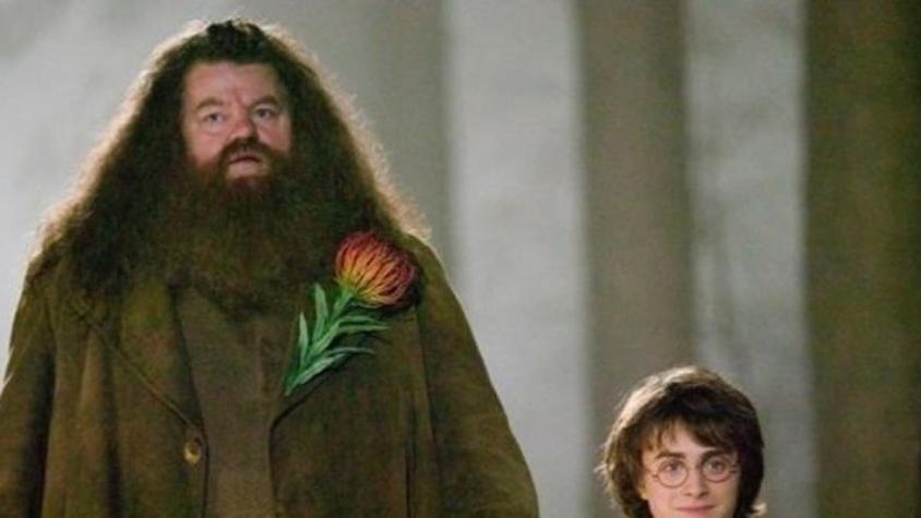 Escritora de "Harry Potter" se despide de "Hagrid": "Fui más que afortunada de conocerlo"