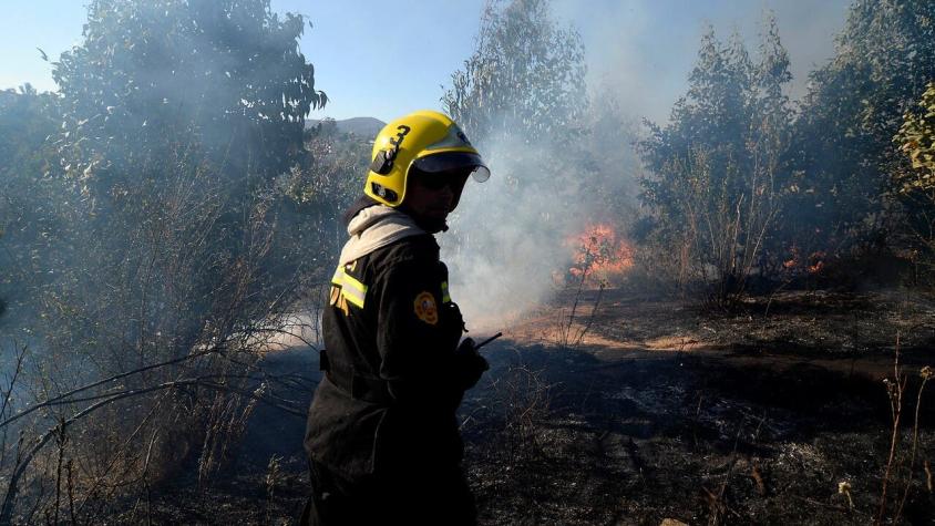 Declaran Alerta Roja en Lampa por incendio forestal cercano a sectores habitados