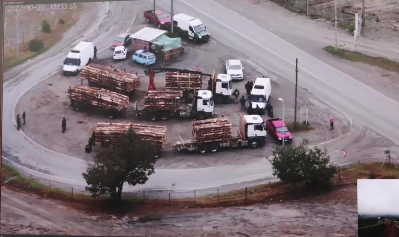 Carabineros desbarató banda dedicada al robo de madera en La Araucanía y Biobío: 12 detenidos