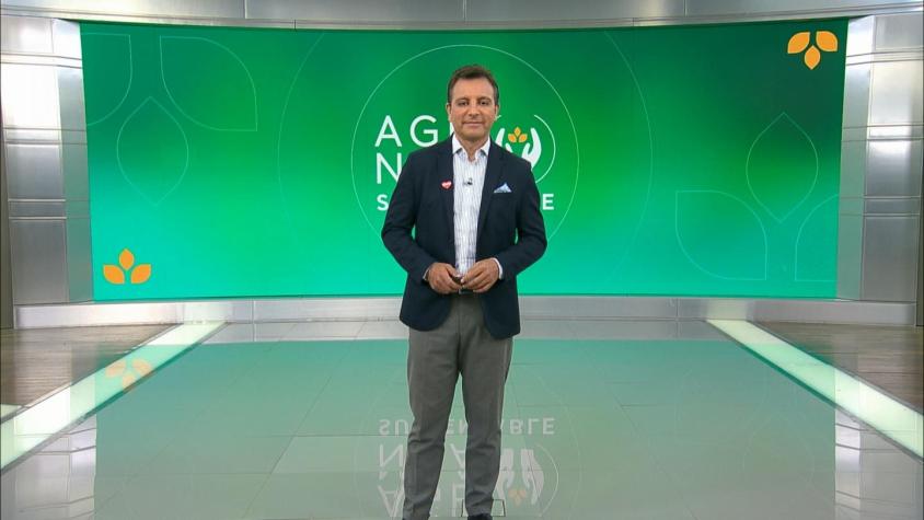 Agenda Sustentable: Día mundial contra el cambio climático